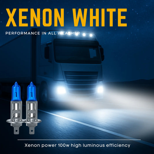 H1 Bulbs 100W Xenon White 24V