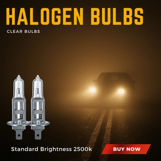 H1 Bulbs 55W Halogen 12V