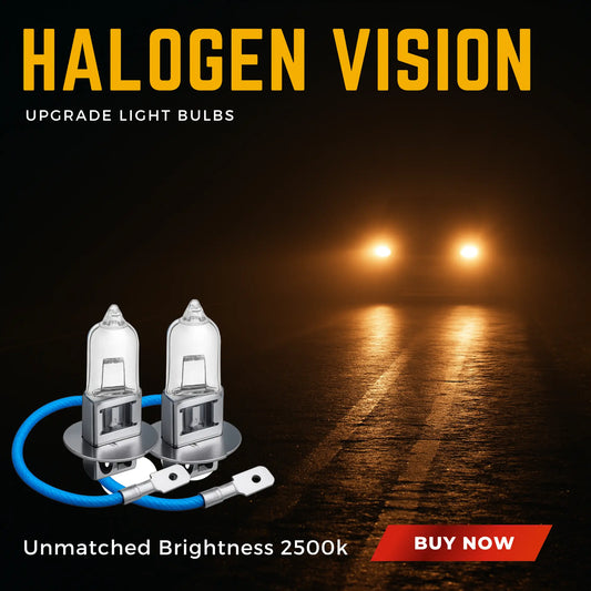 H3 Bulbs 100w Halogen 12v