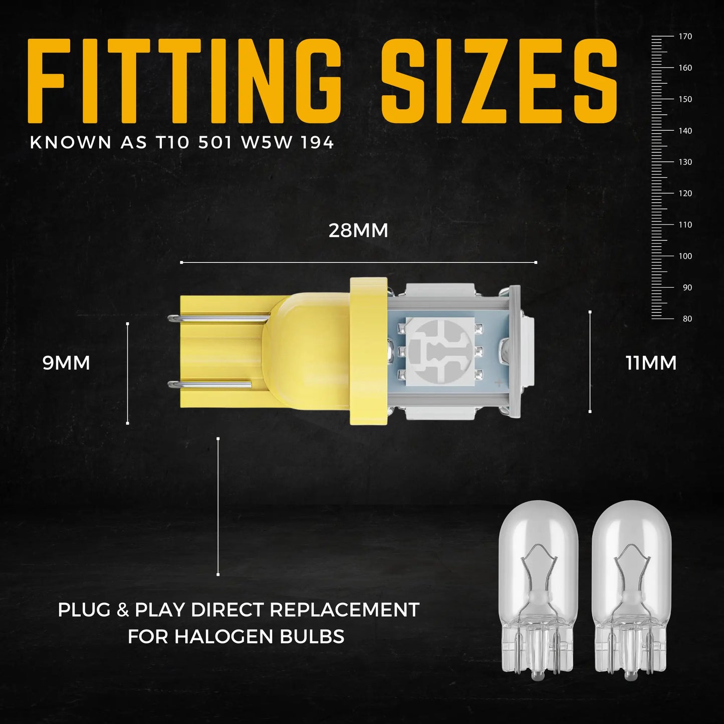 501 Bulb Dimensions - Argo