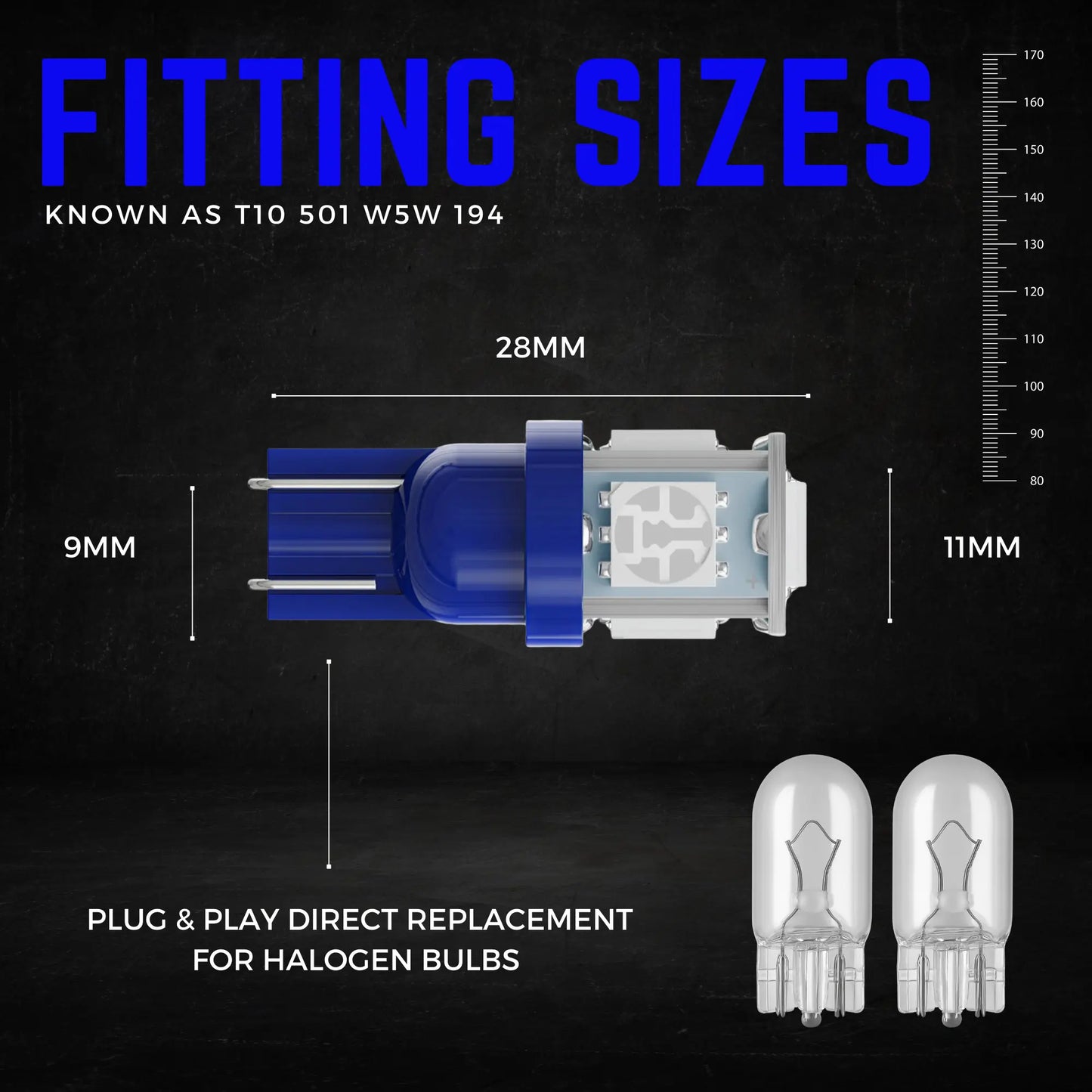 501 Bulb Dimensions - Argo