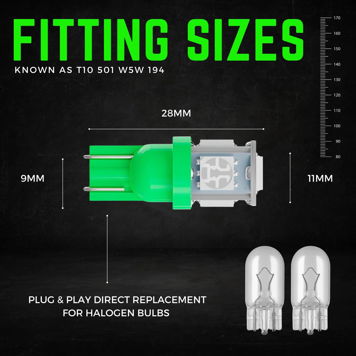 501 Bulb Dimensions - Argo
