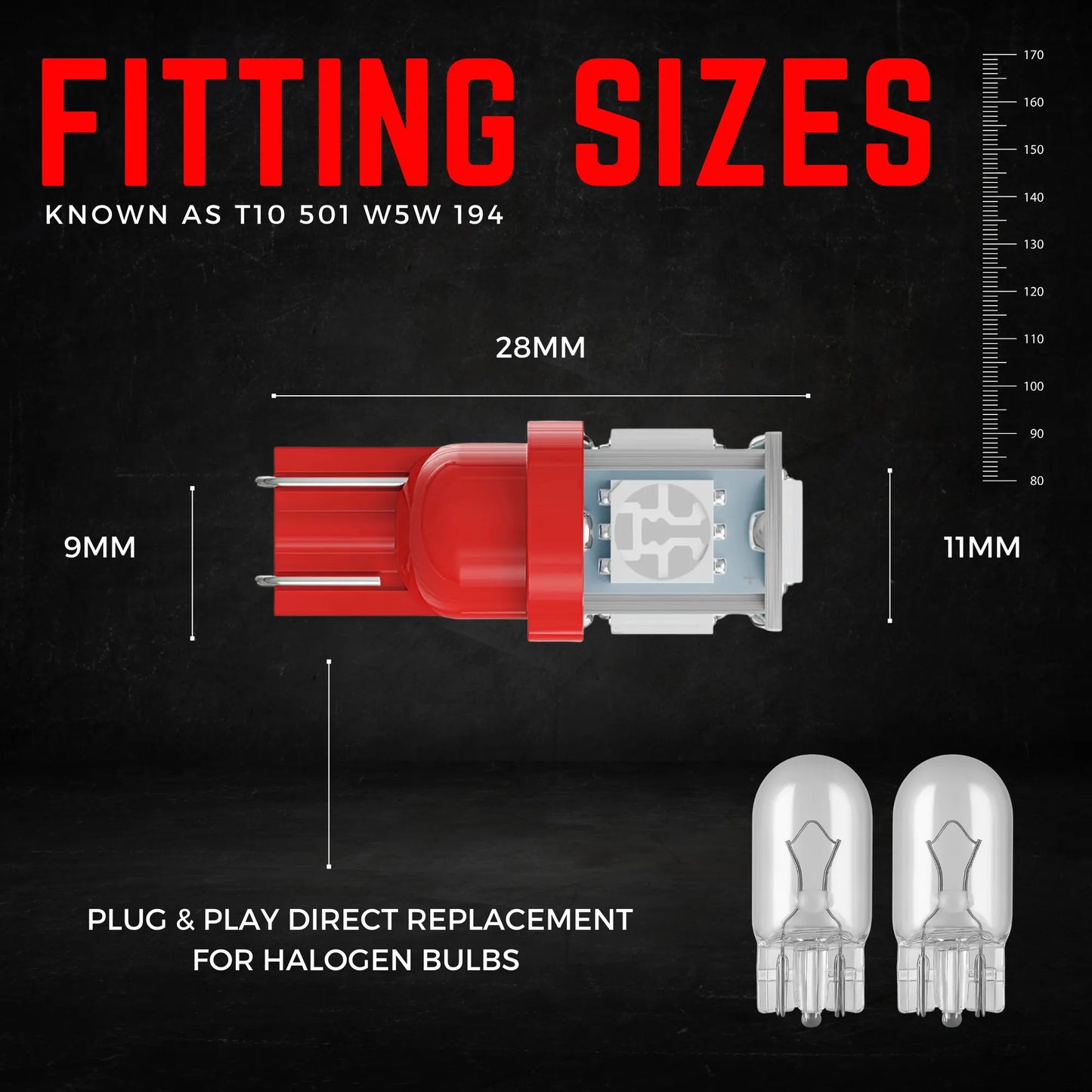 501 Bulb Dimensions - Argo