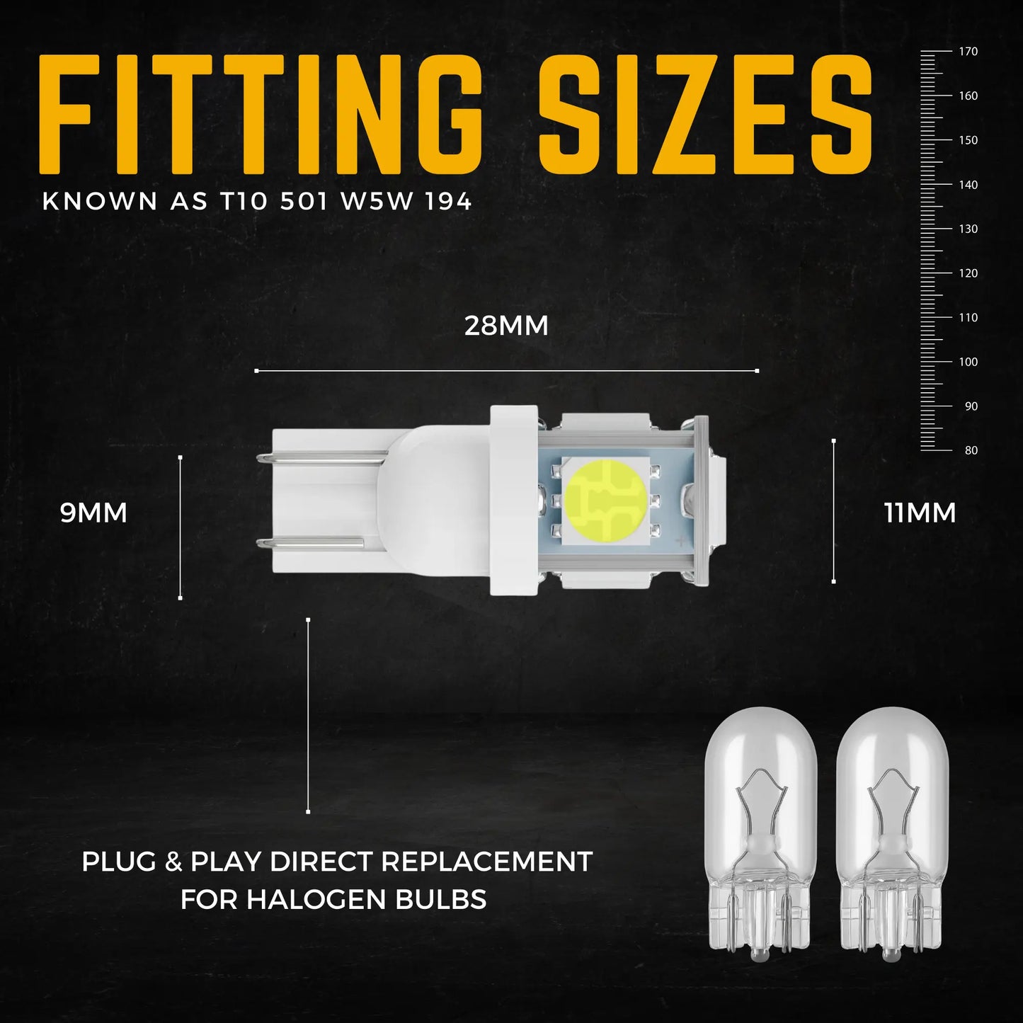 501 Bulb Dimensions - Argo