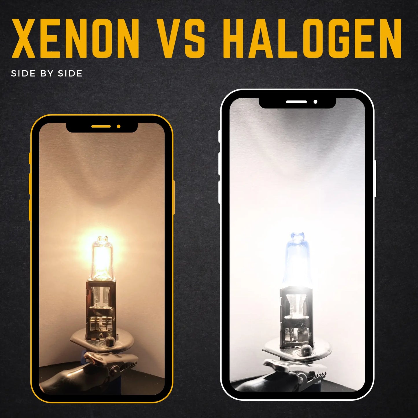 Xenon Bulbs Vs Halogen Bulbs