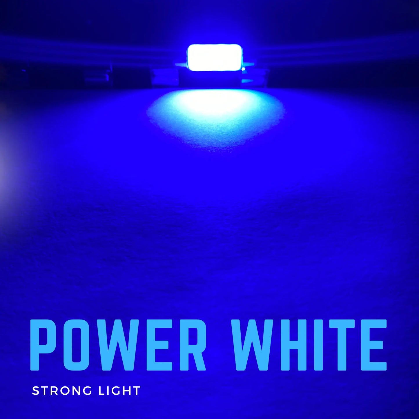 239 Led Bulb Shining - Argo
