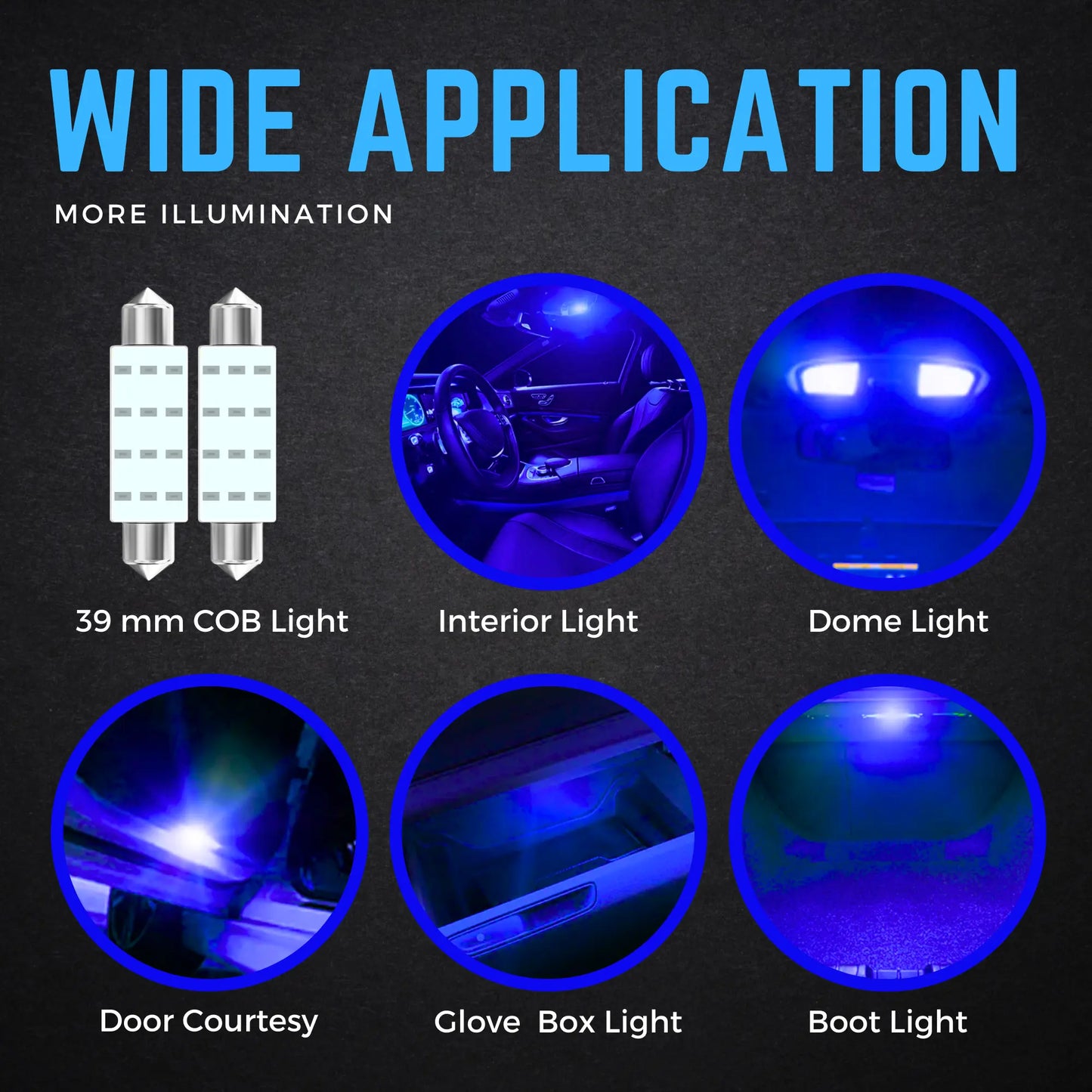 Common Uses For 239 Bulbs - Argo