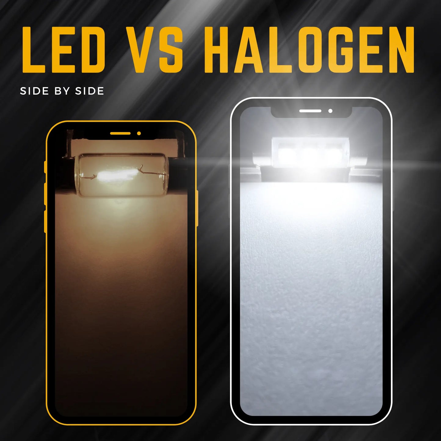 Festoon Led vs Halogen  - Argo