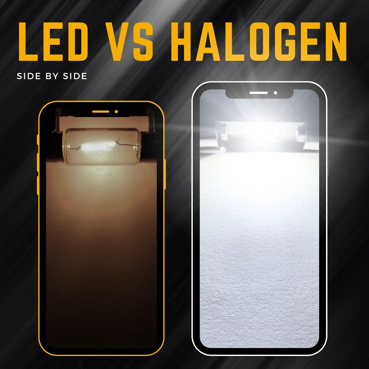 Festoon Led vs Halogen  - Argo