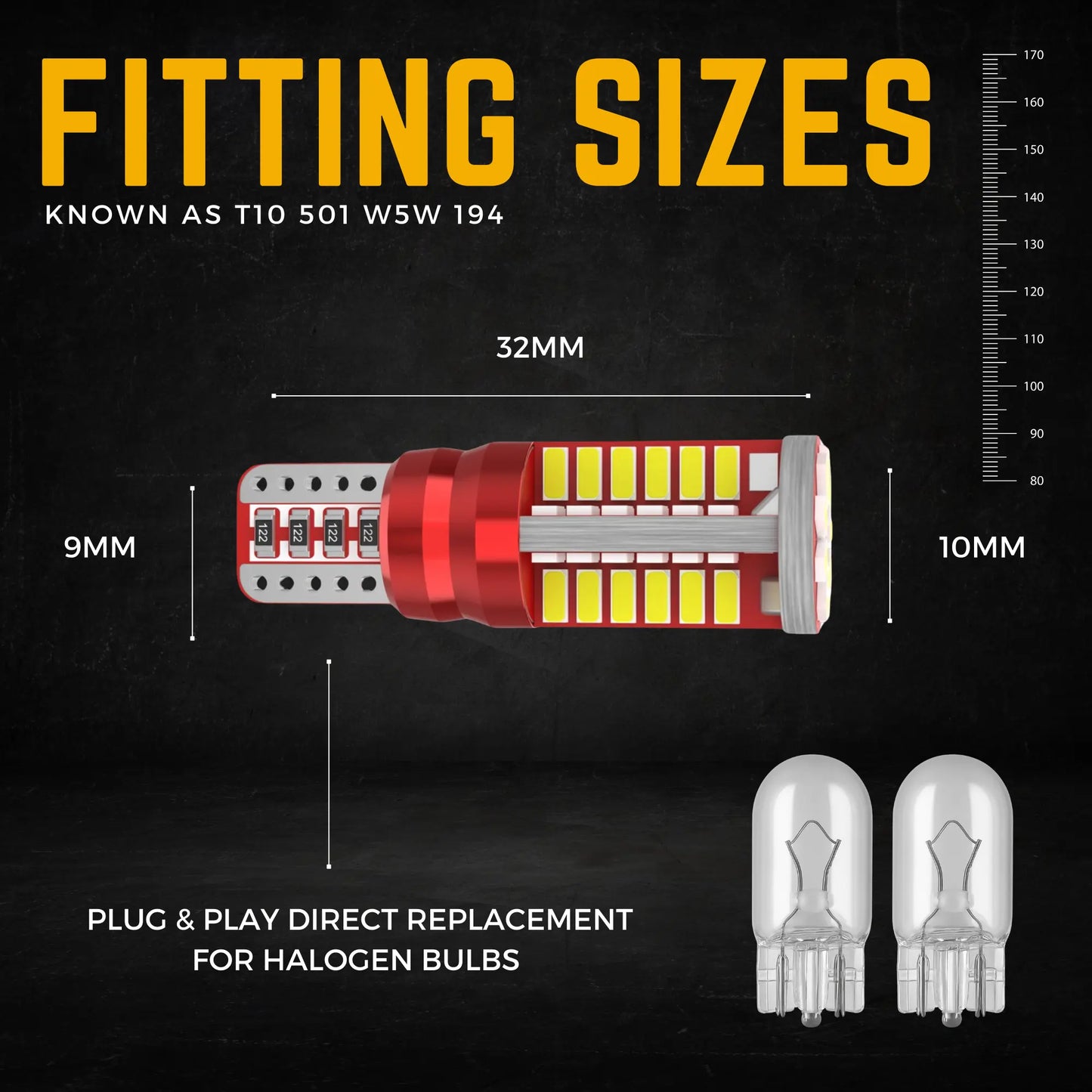 501 Bulb Dimensions - Argo