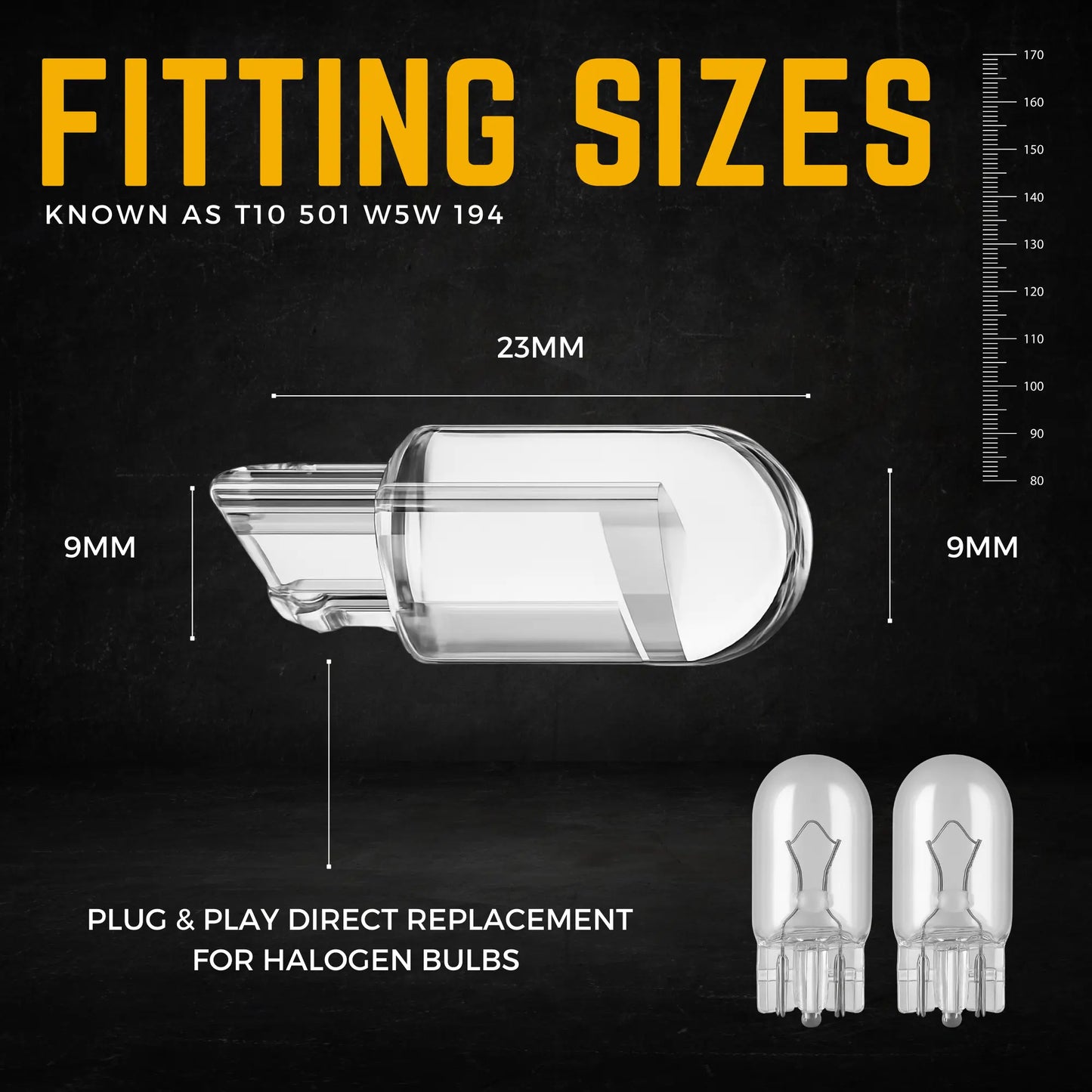 501 Bulb Dimensions - Argo