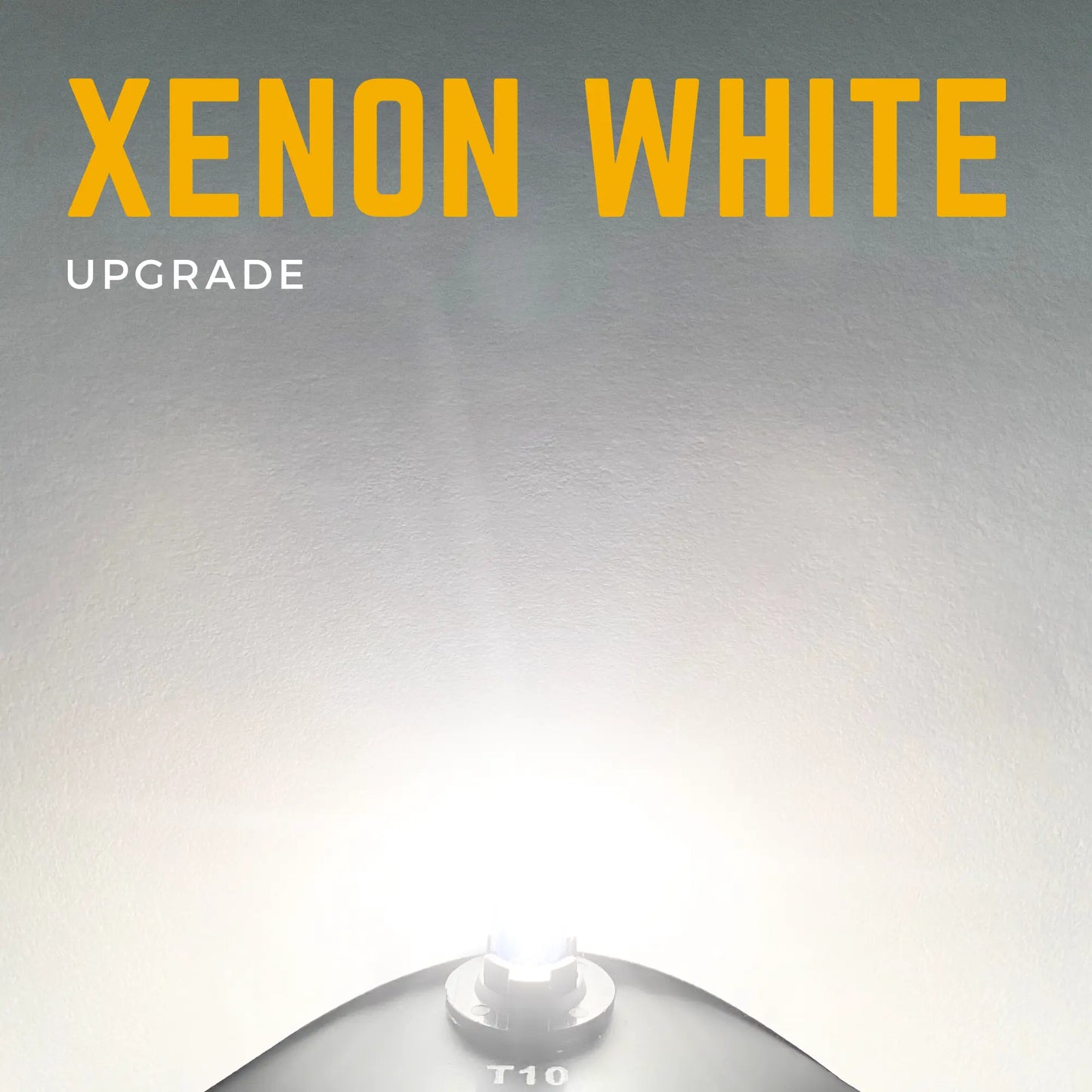 501 Xenon Bulb Shining - Argo