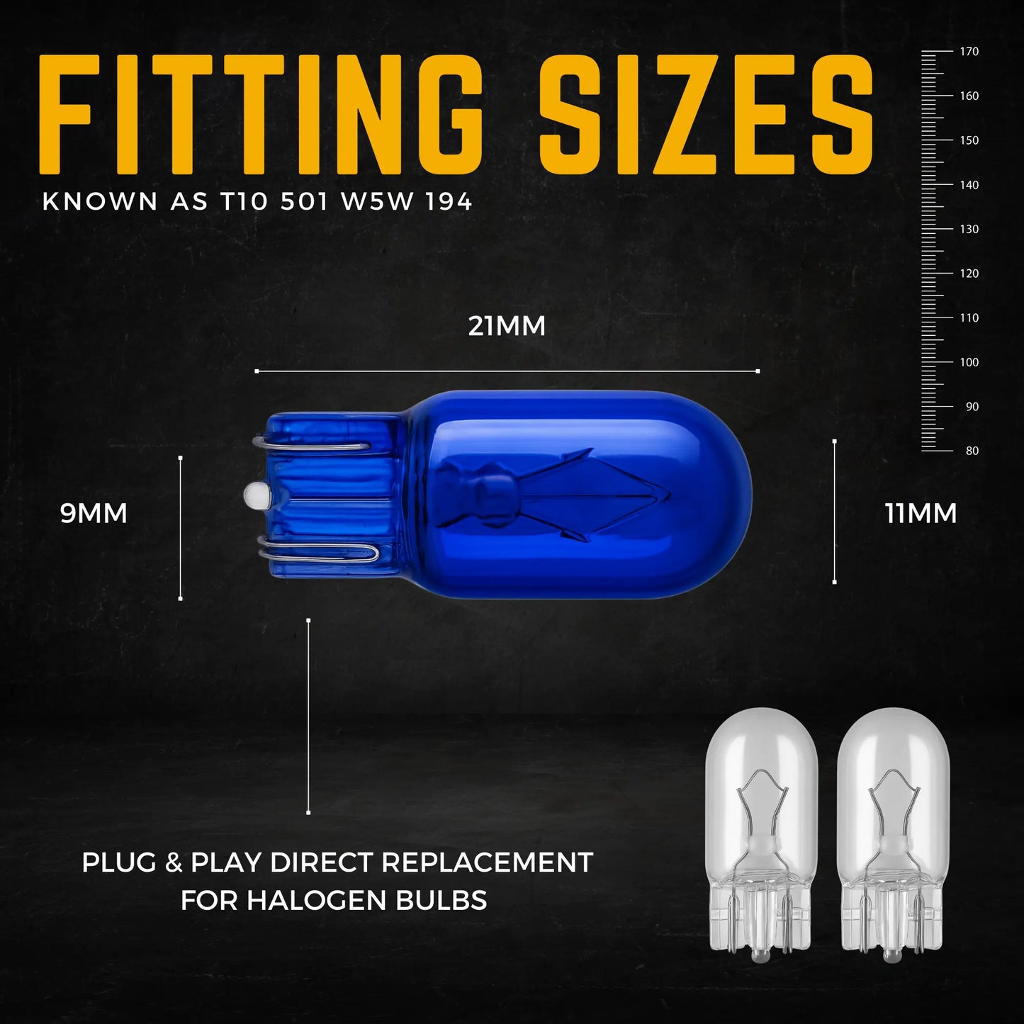 501 Bulb Dimensions - Argo