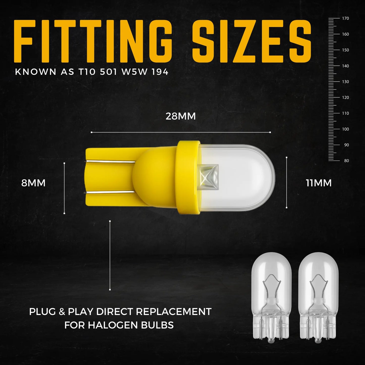 501 Bulb Dimensions - Argo