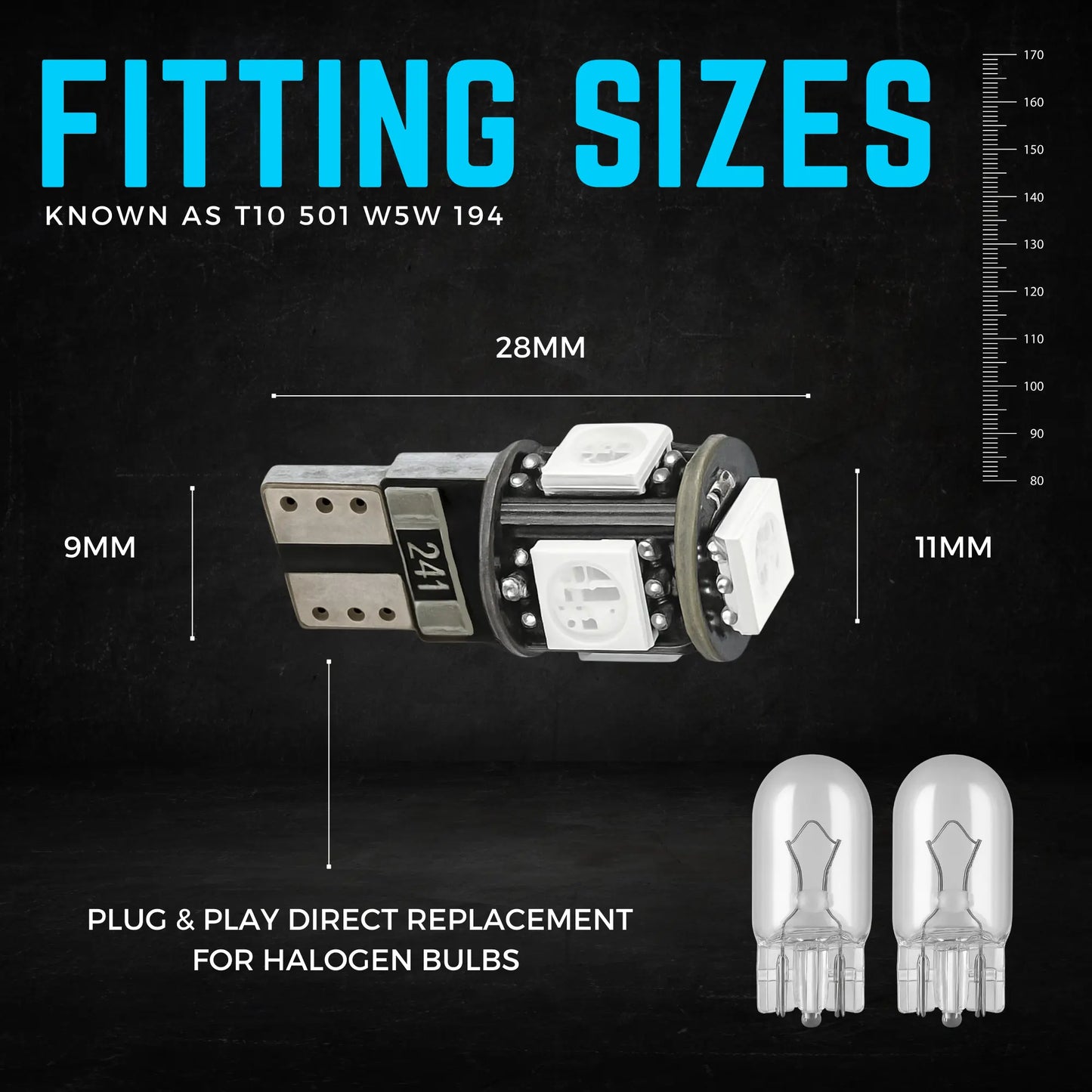 501 Bulb Dimensions - Argo