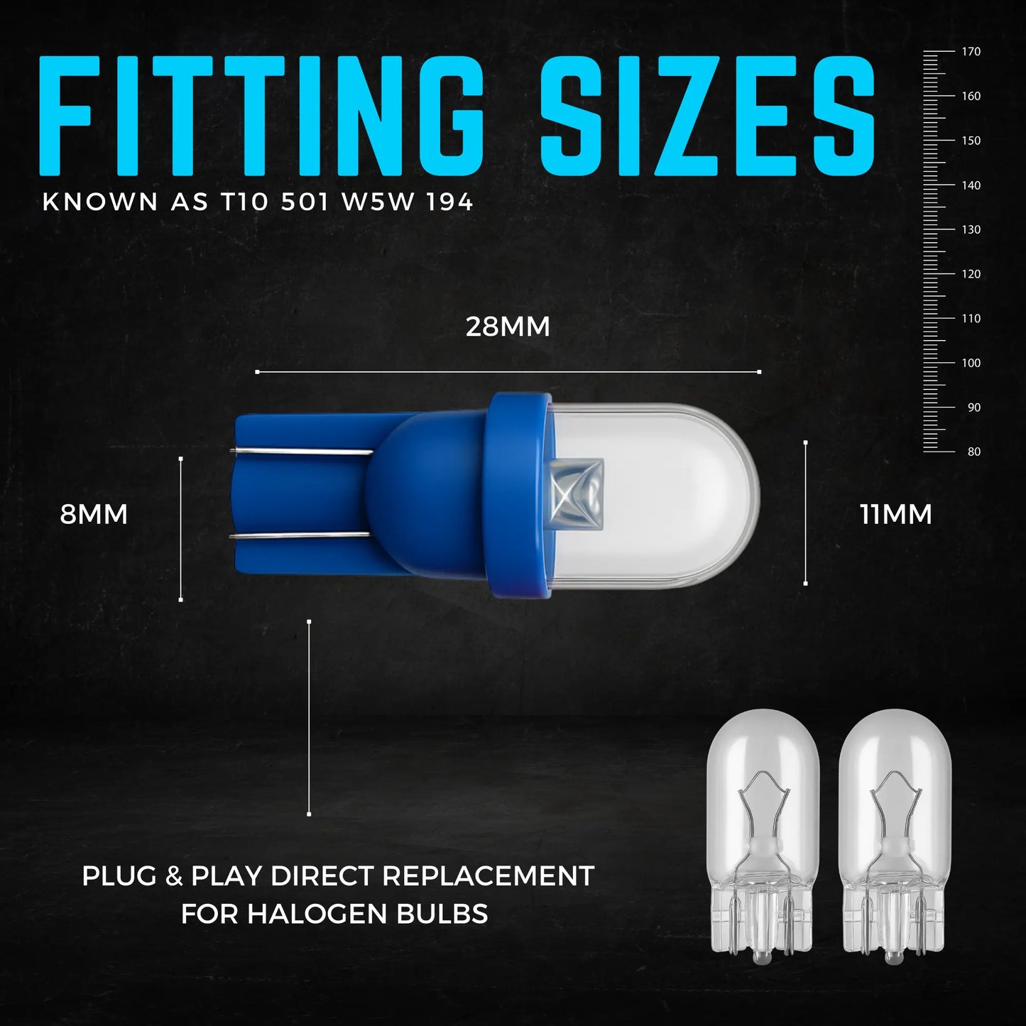 501 Bulb Dimensions - Argo