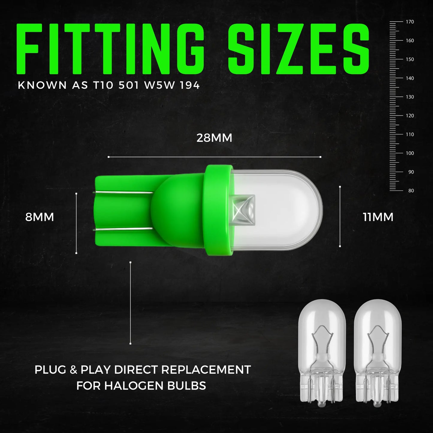 501 Bulb Dimensions - Argo