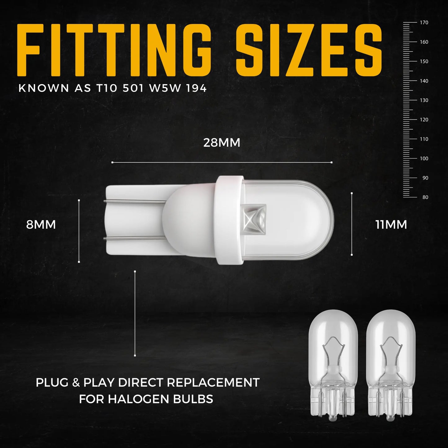 501 Bulb Dimensions - Argo