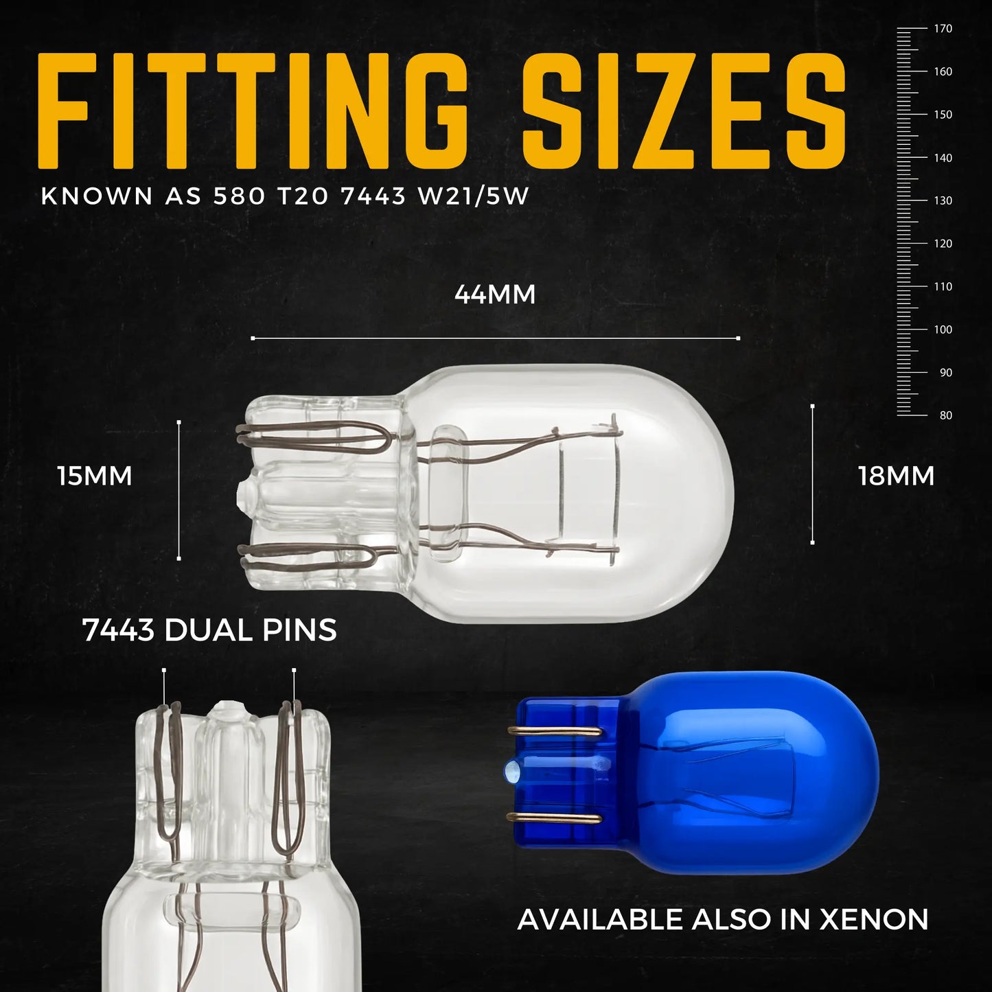 580 Bulb Dimensions - Argo