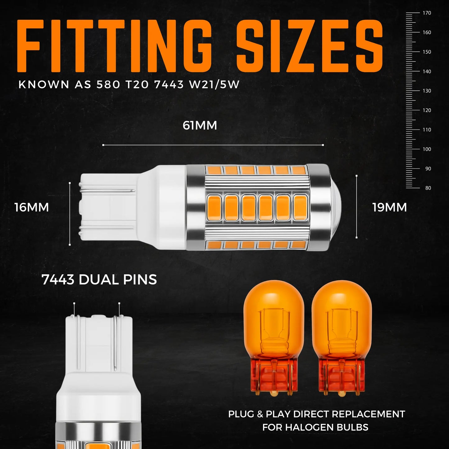 580 Bulb Dimensions - Argo