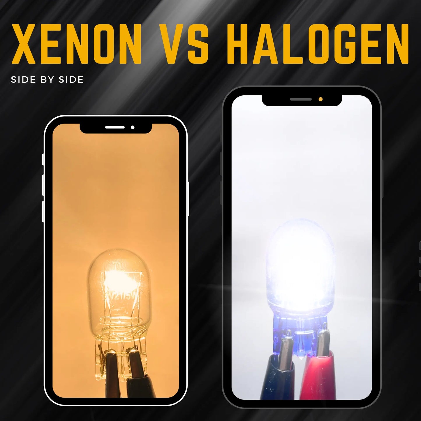 T20 Xenon vs Halogen - Argo
