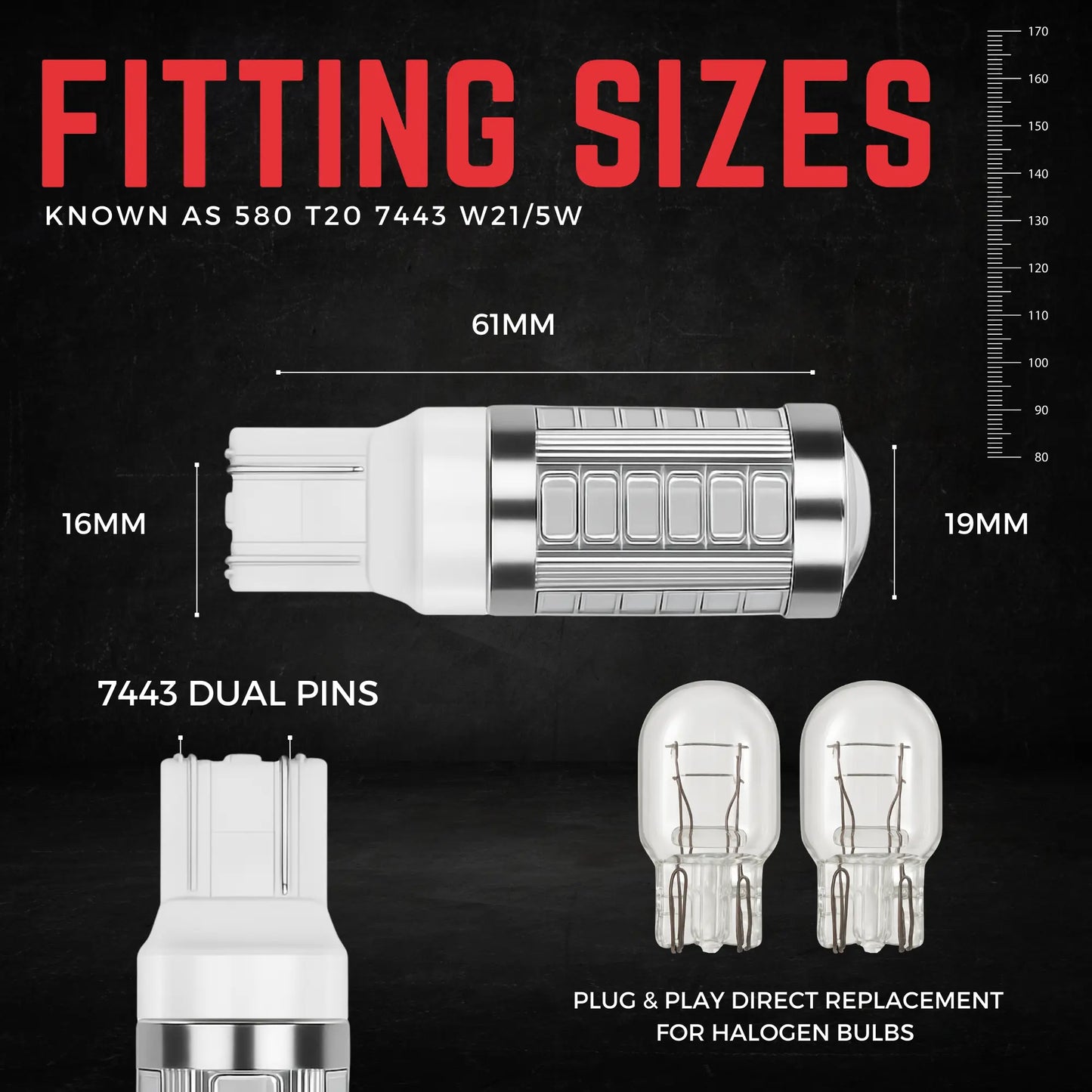 580 Bulb Dimensions - Argo