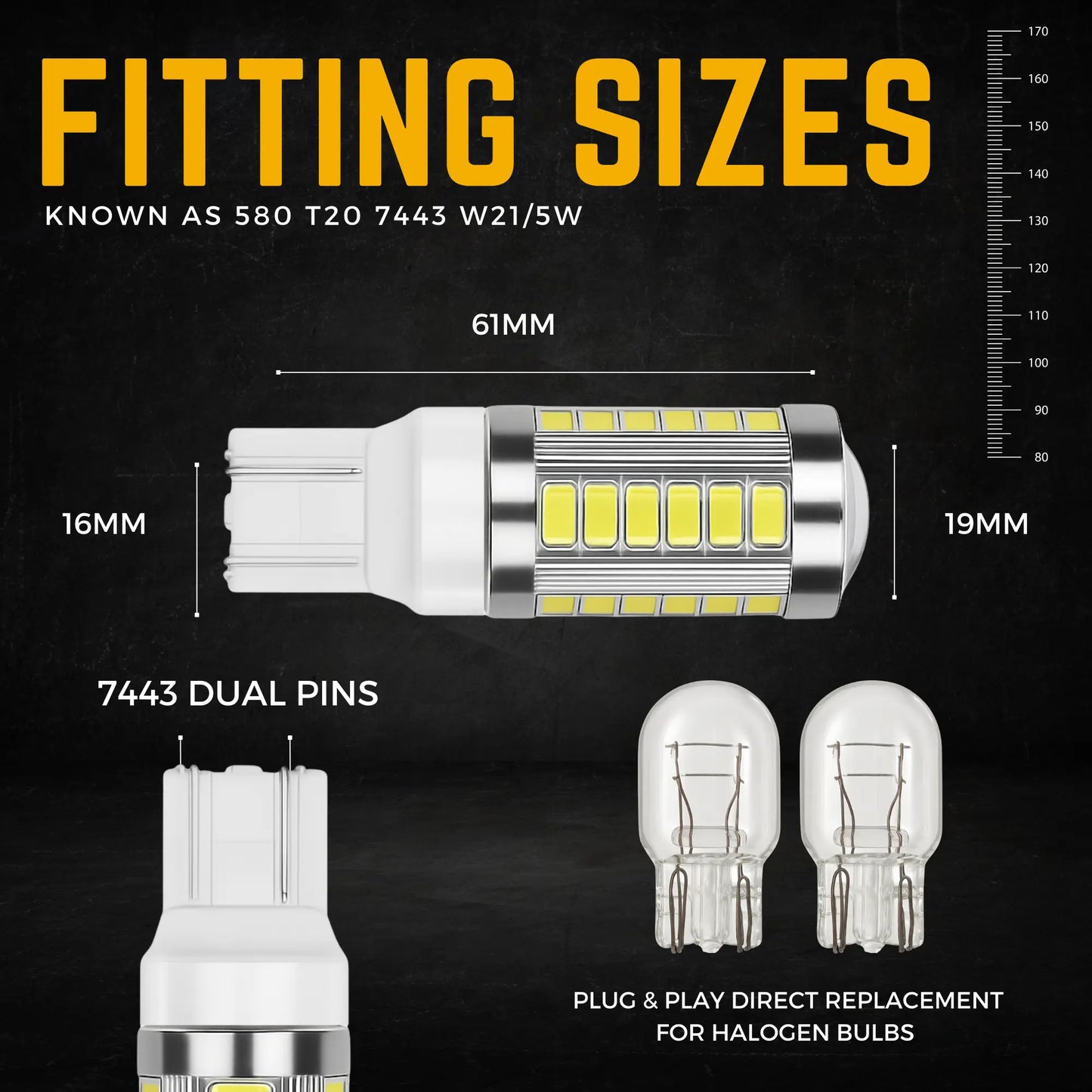 580 Bulb Dimensions - Argo