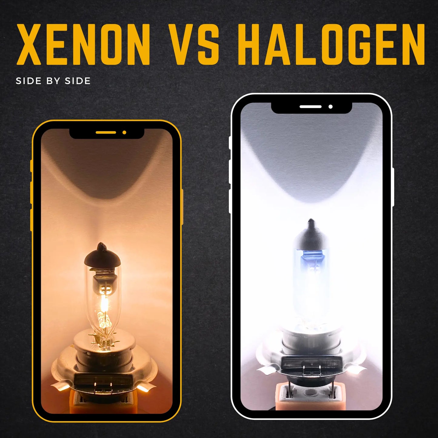 Halogen Vs Xenon Light - Argo