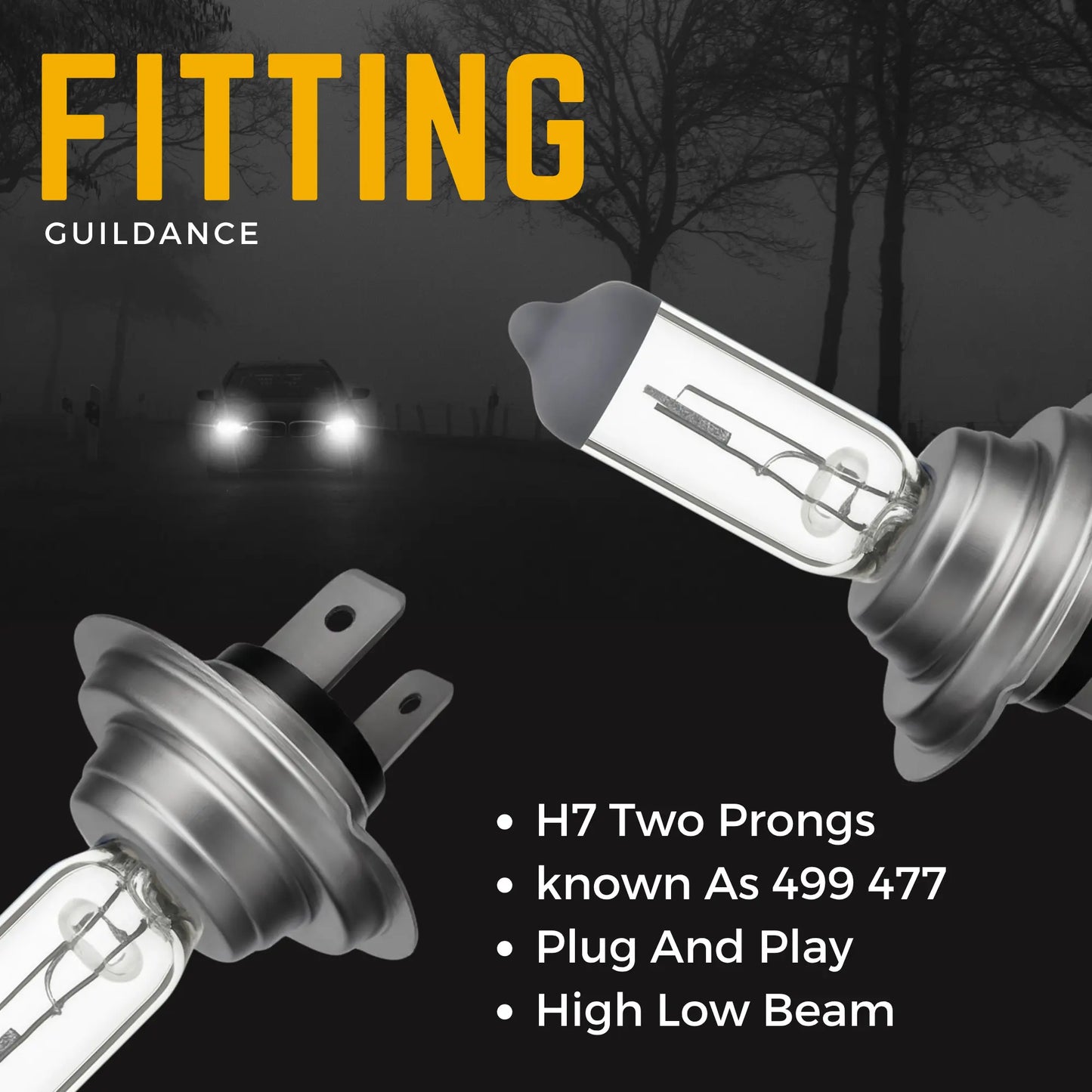 H7 Headlight Bulbs Fitting - Argo