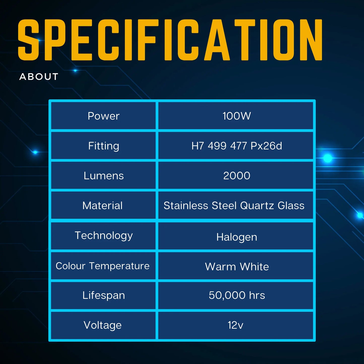 About H7 Bulbs - Argo