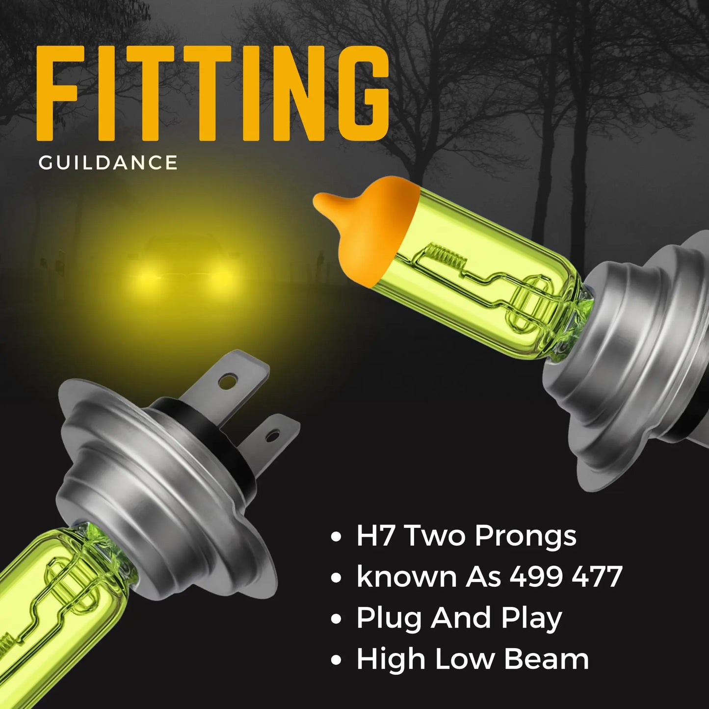H7 Headlight Bulbs Fitting - Argo