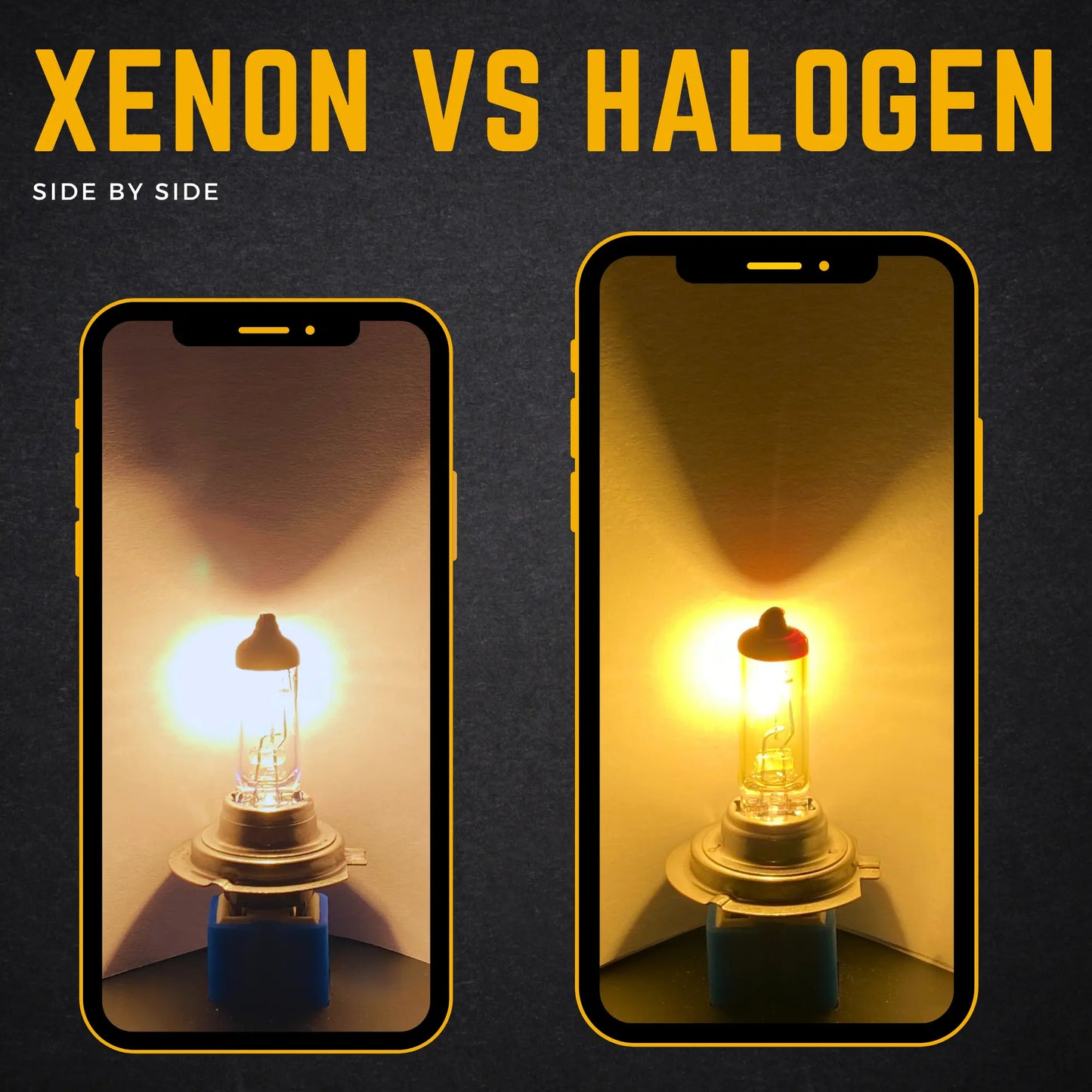 Halogen Vs Xenon - Argo