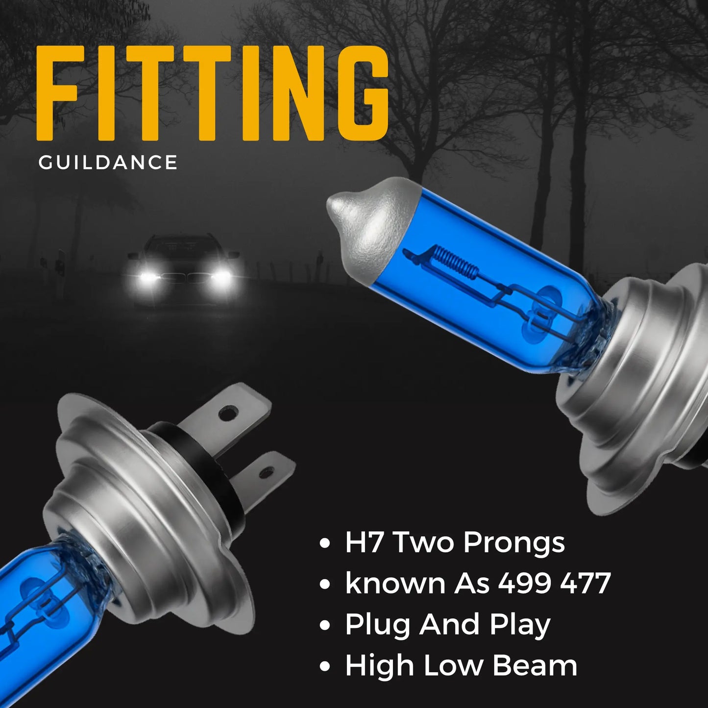 H7 Headlight Bulbs Fitting - Argo