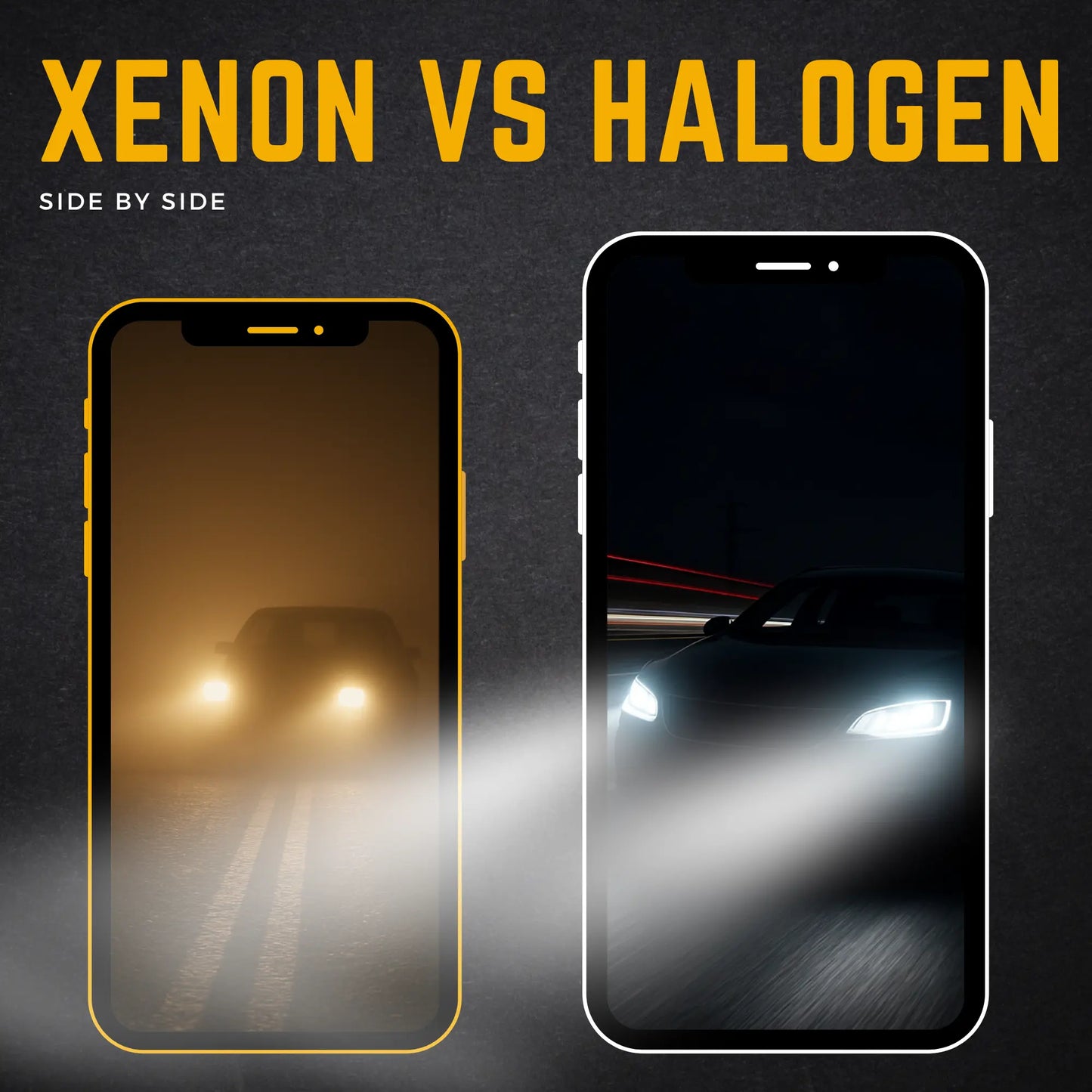 Halogen vs Xenon - Argo