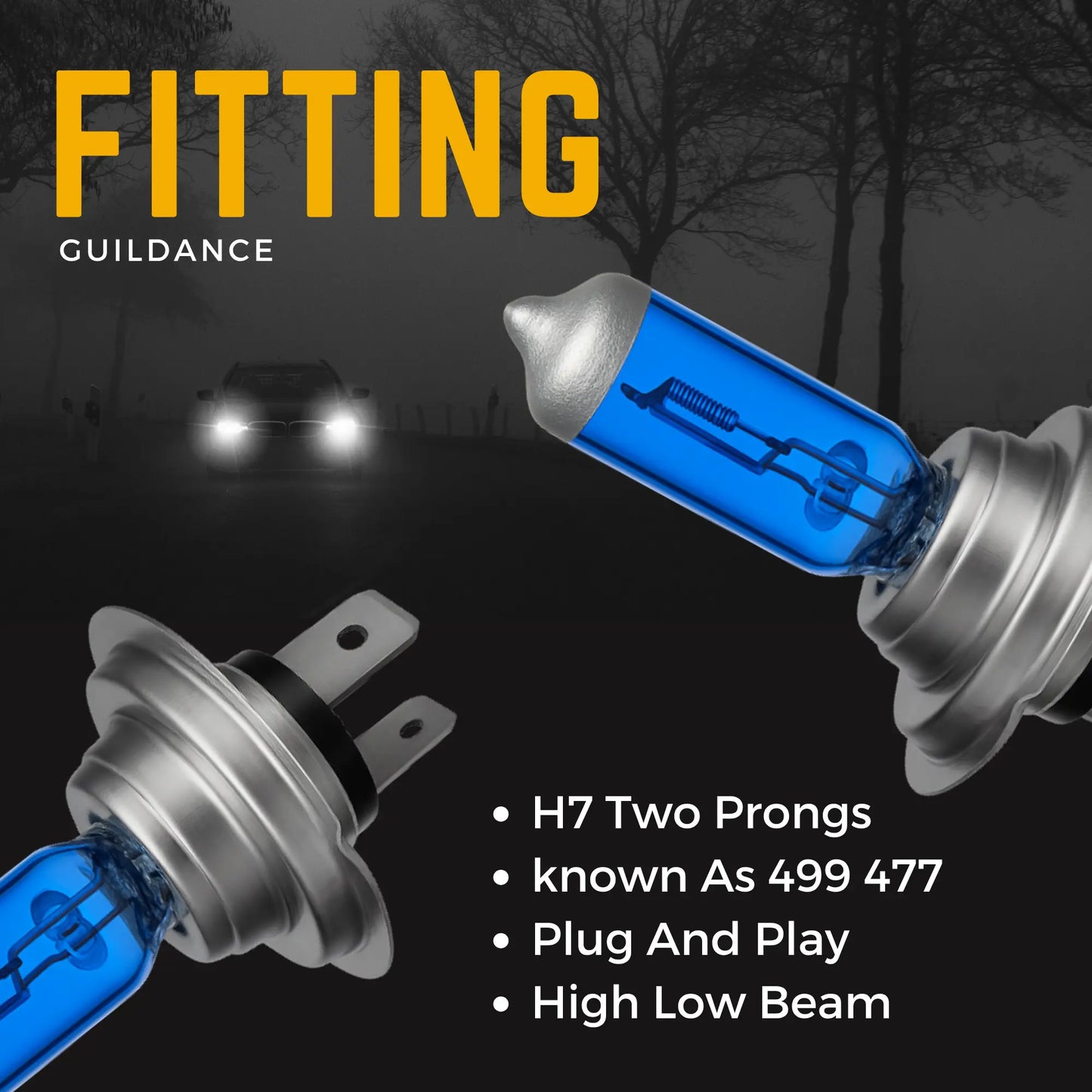H7 Headlight Bulbs Fitting - Argo