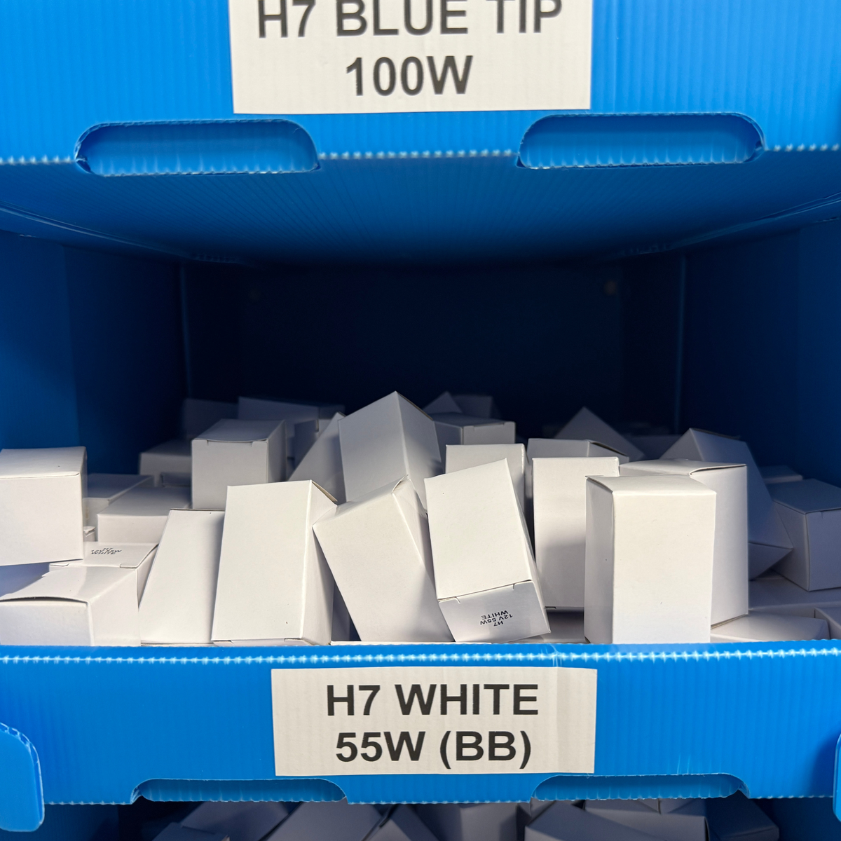 Xenon 55w H7 Headlight Bulbs
