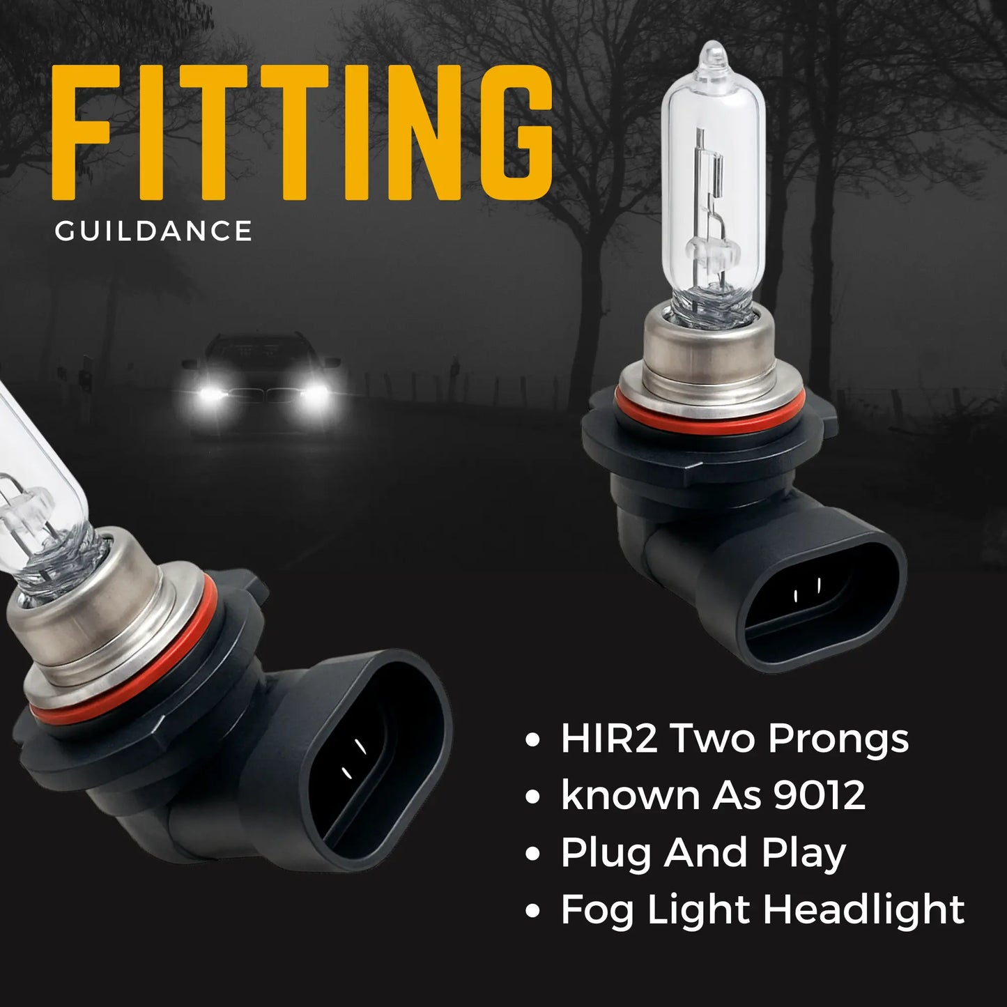 9012 Headlight Bulbs - Argo