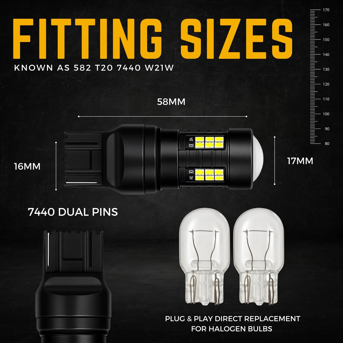 582 Bulb Dimensions - Argo