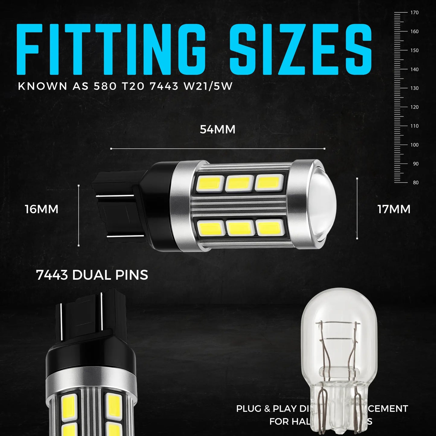 580 Bulb Dimensions - Argo