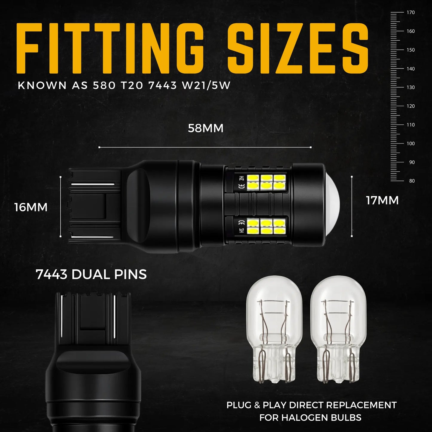 Dimensions T20 Xenon Bulb - Argo