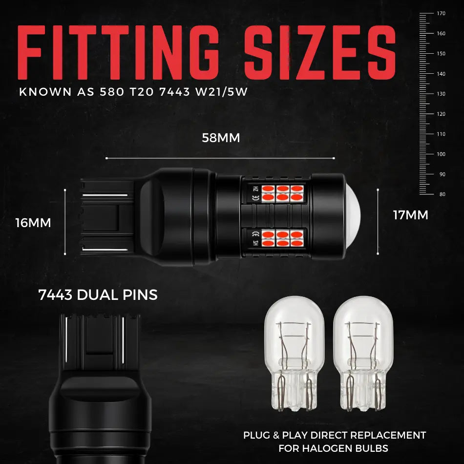 580 Bulb Dimensions - Argo