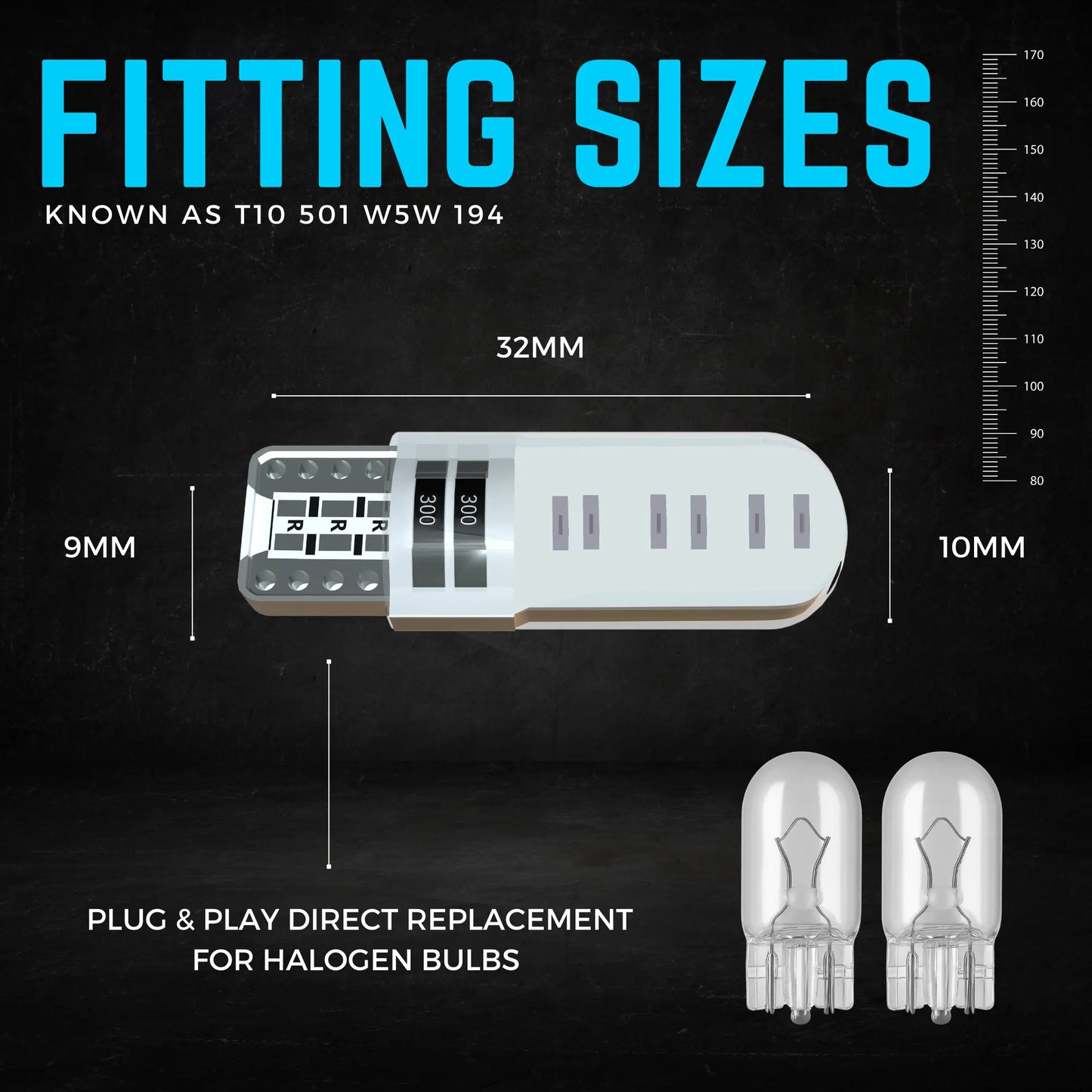 501 Bulb Dimensions - Argo