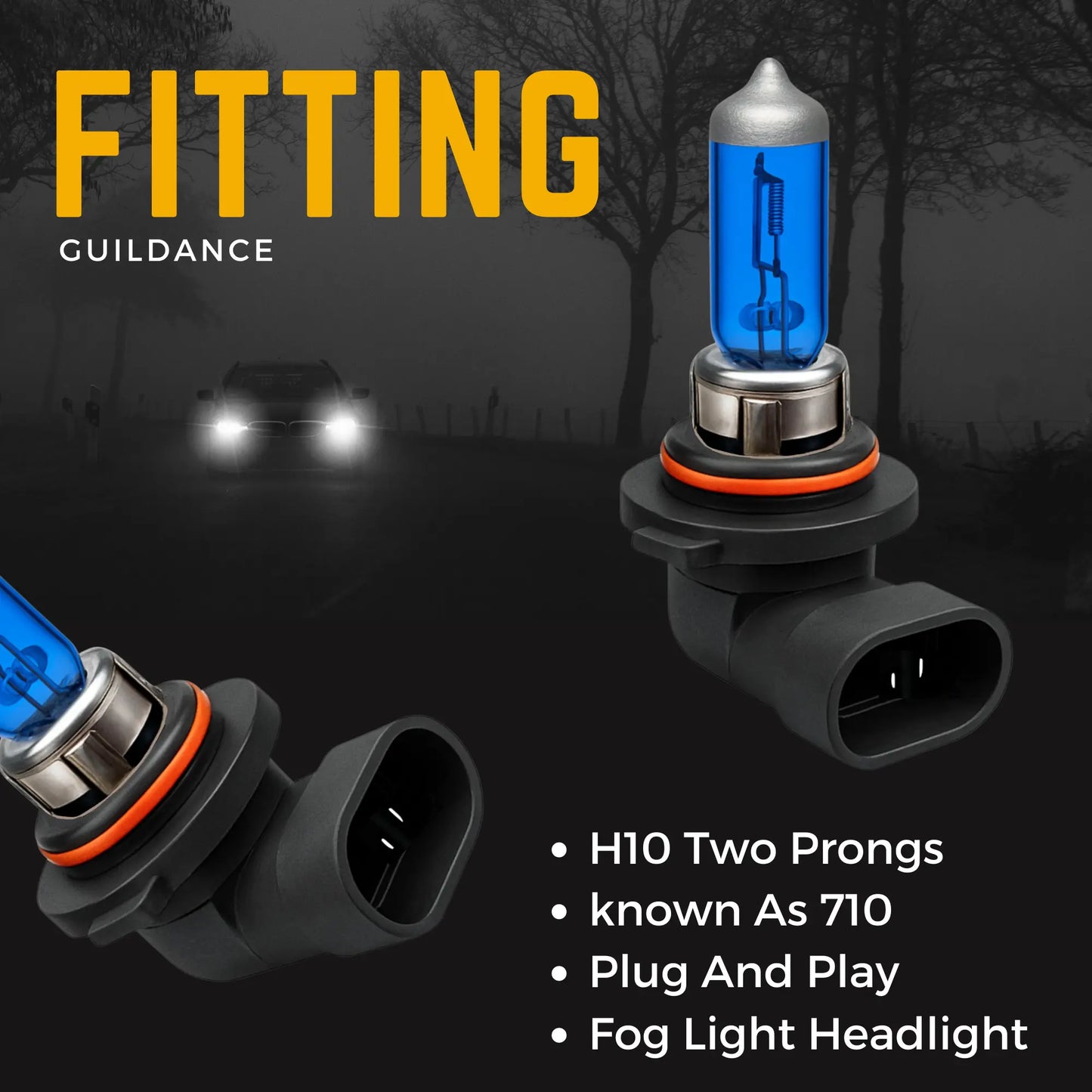 H10 Headlight Bulbs Fitting - Argo