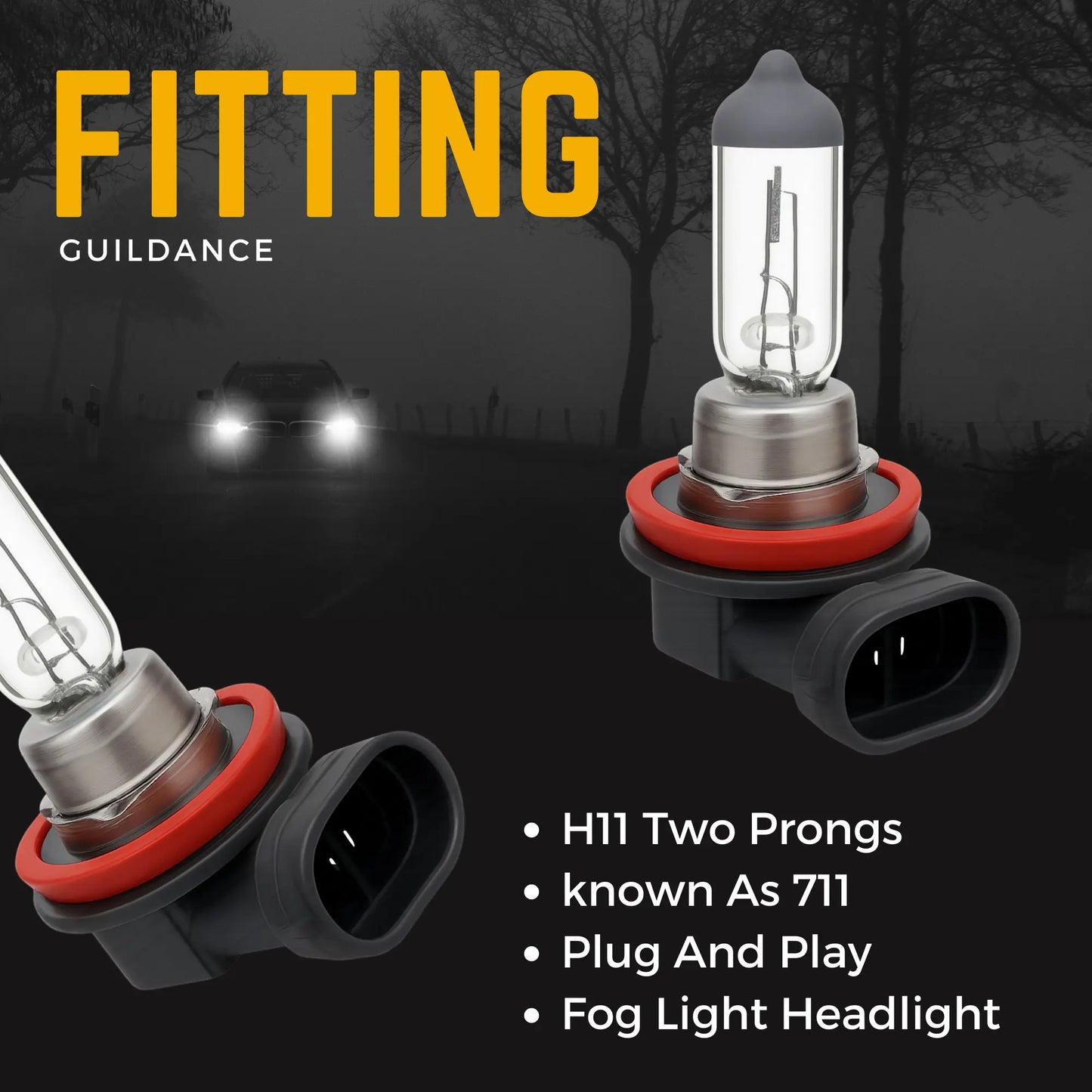H11 Headlight Bulbs - Argo