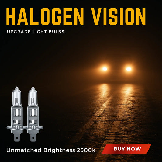 H1 Bulbs 100W Halogen 12V