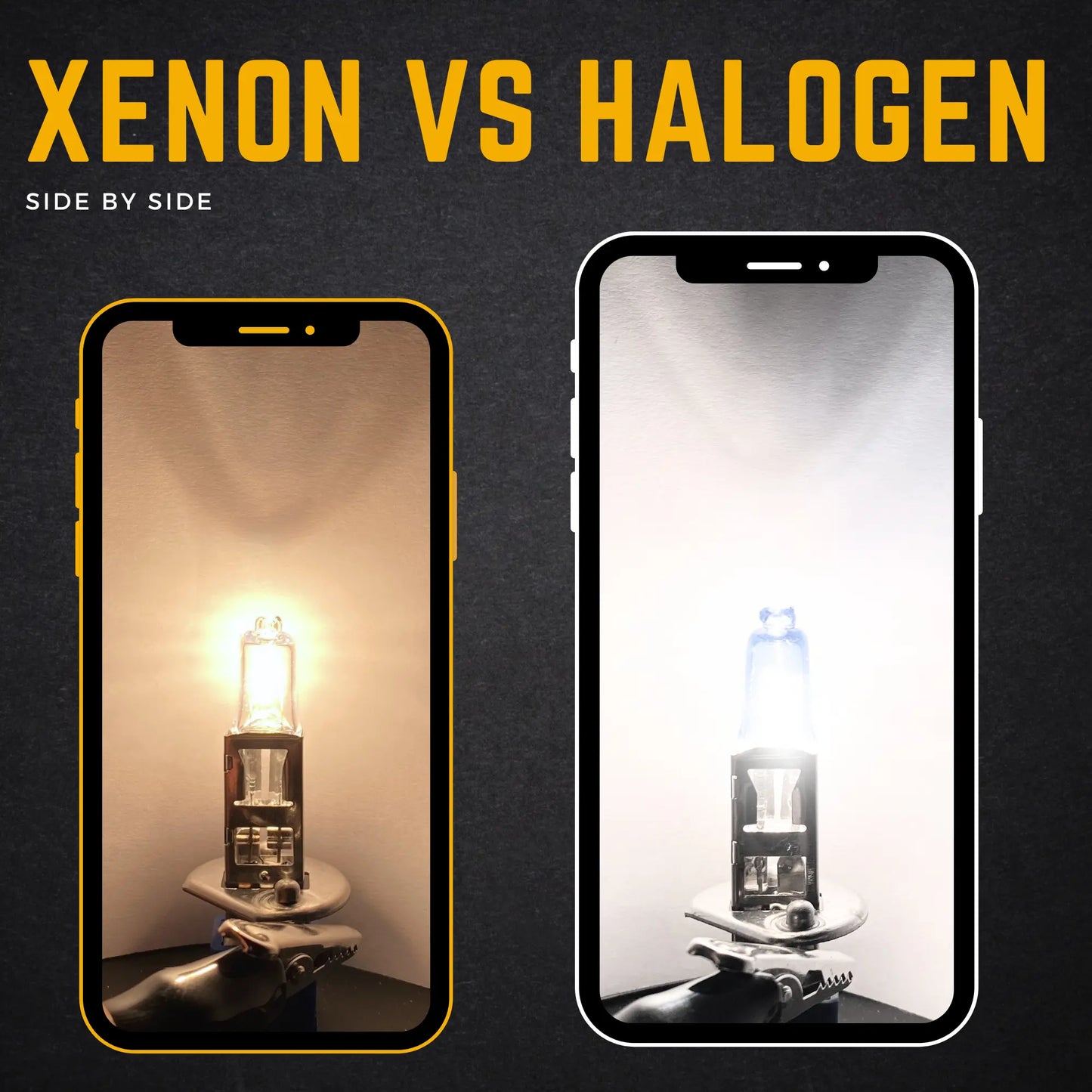 448 Xenon vs Halogen  - Argo