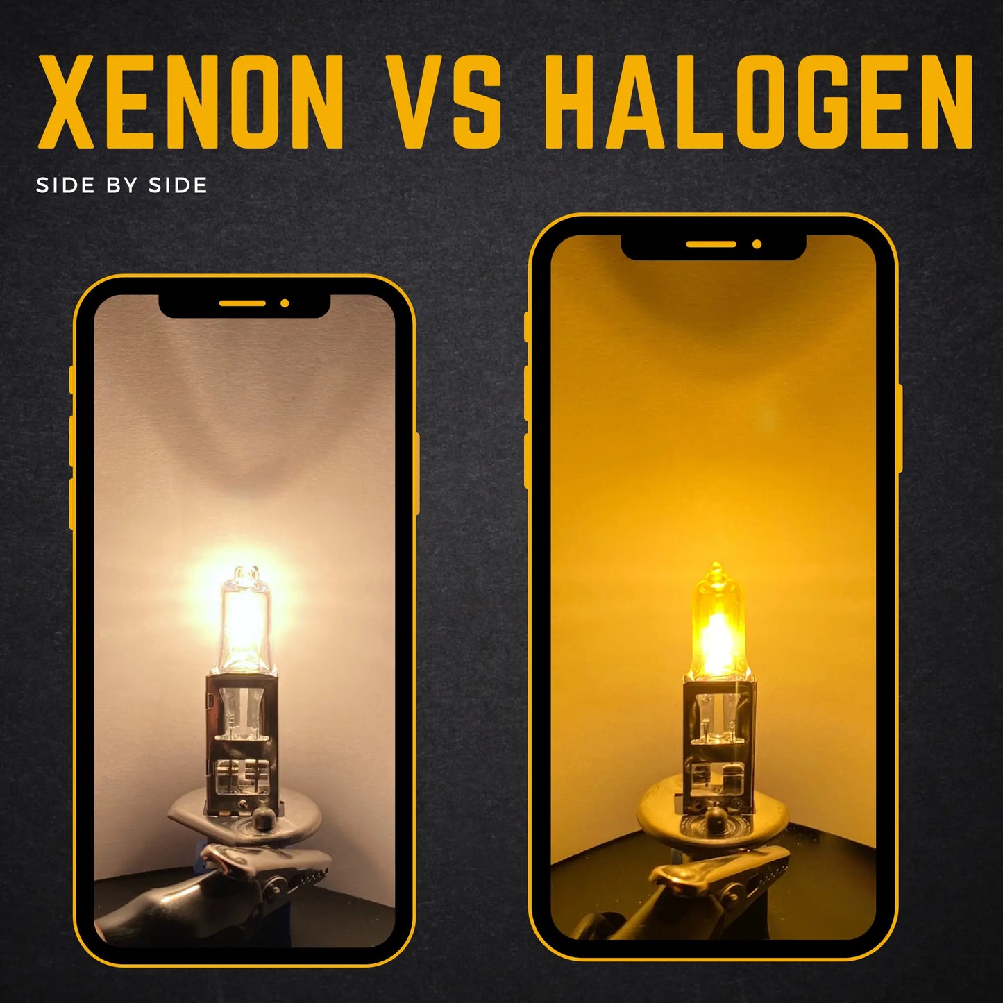 448 Yellow Bulb Vs Halogen Bulb - Argo