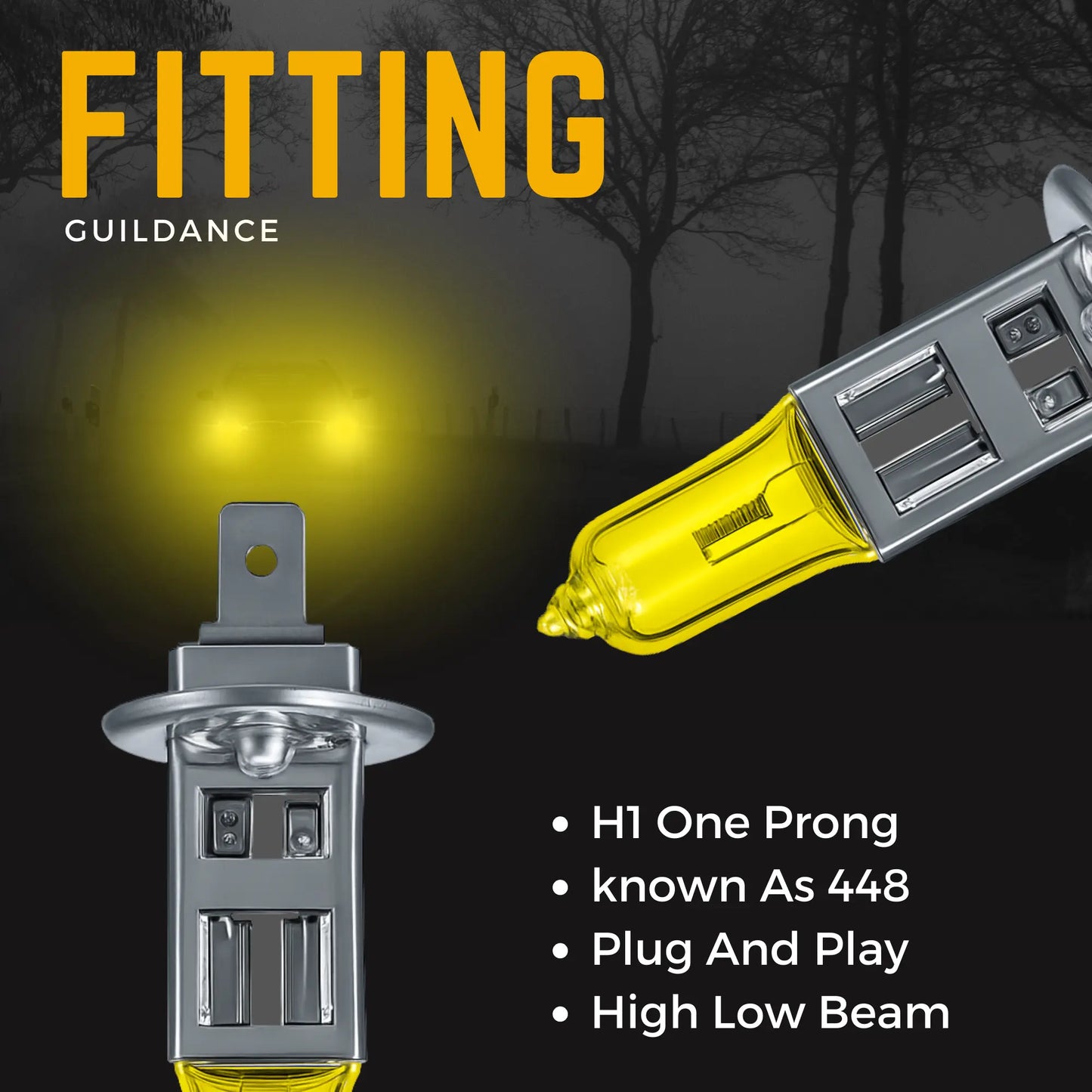 Fitting Information H1 Bulb - Argo