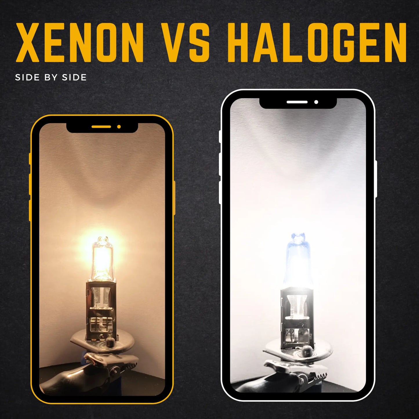 H1 Xenon vs Halogen  - Argo