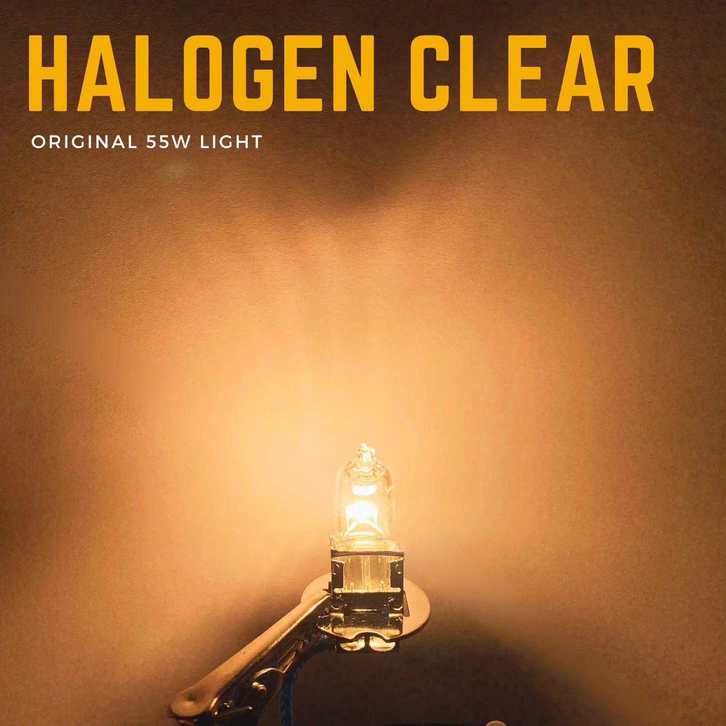 H3 Bulb Shining - Argo